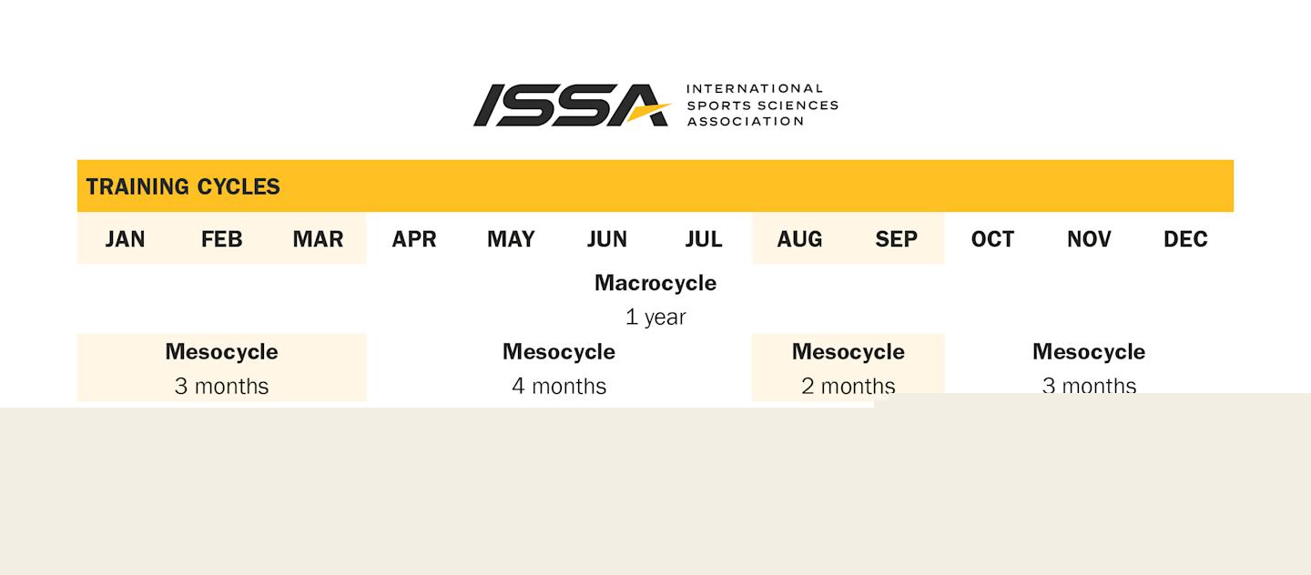 Changing Workout Routine embedded Table