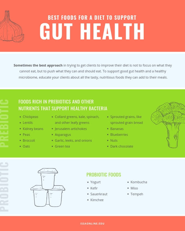 Best Diet for Healthy Gut Handout