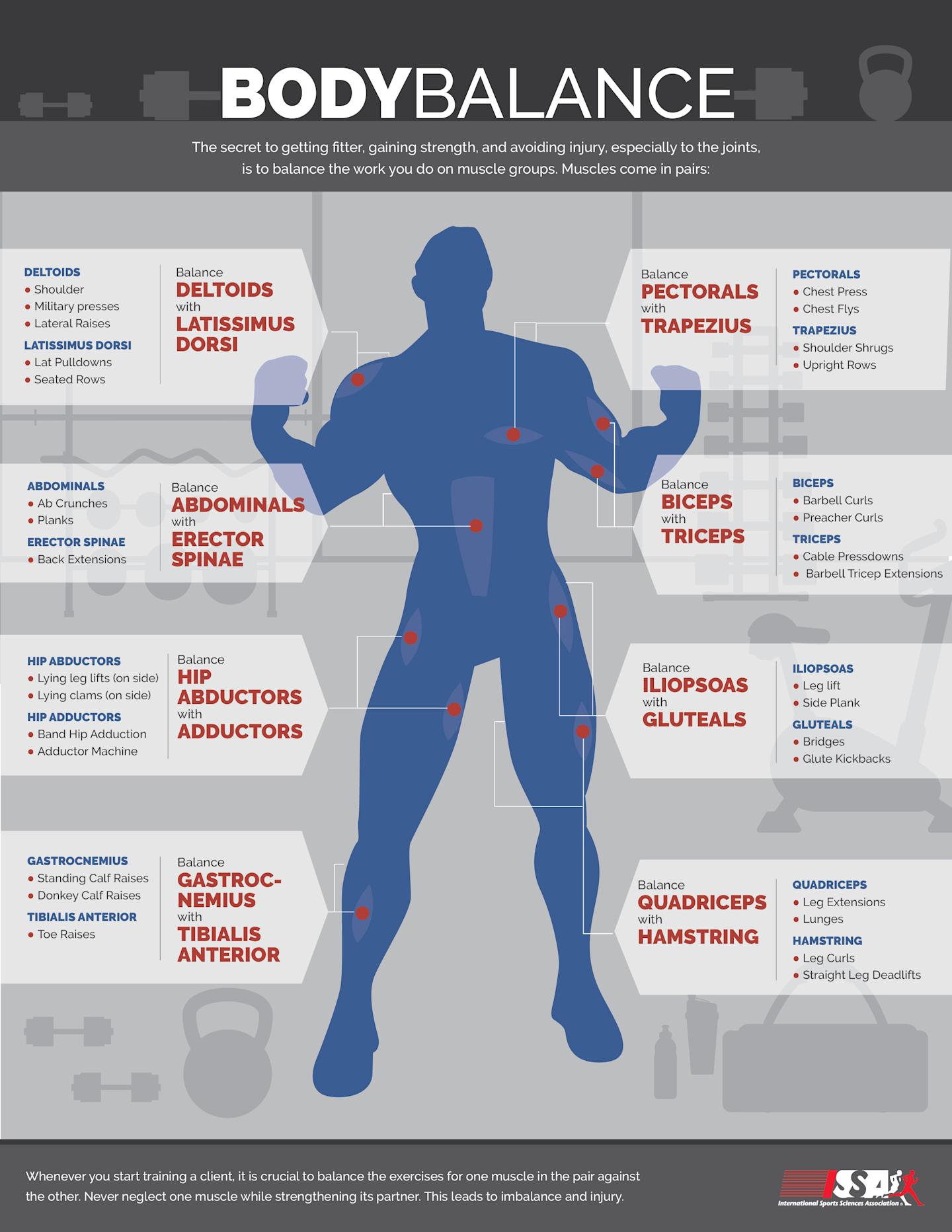 Body Balance Infographics